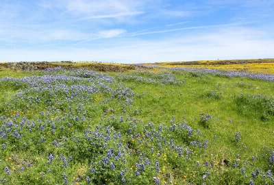 Exploring Oroville, CA: An Introduction to the City and Its Weather
